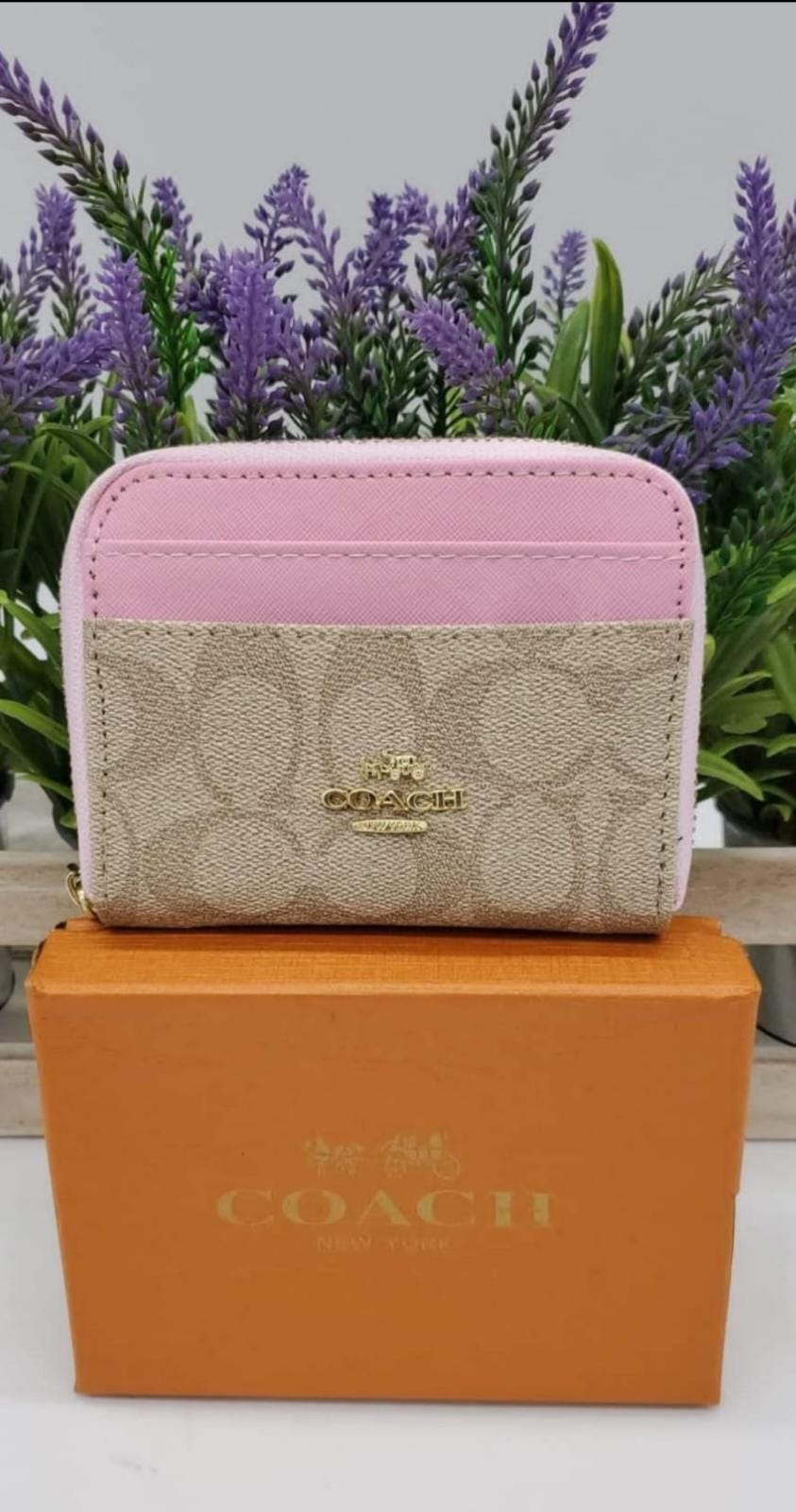 Wallet de Mano